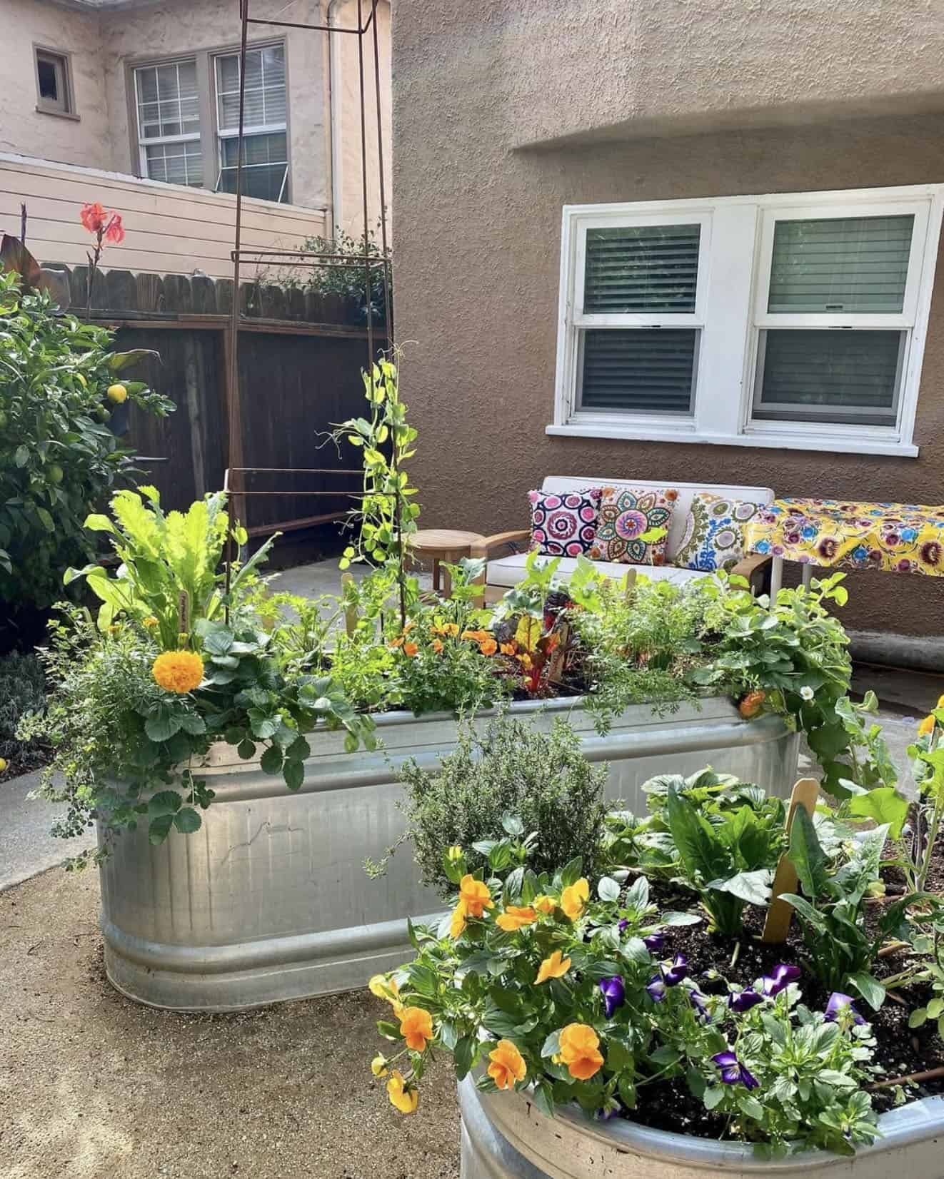 galvanized raised vegetable beds