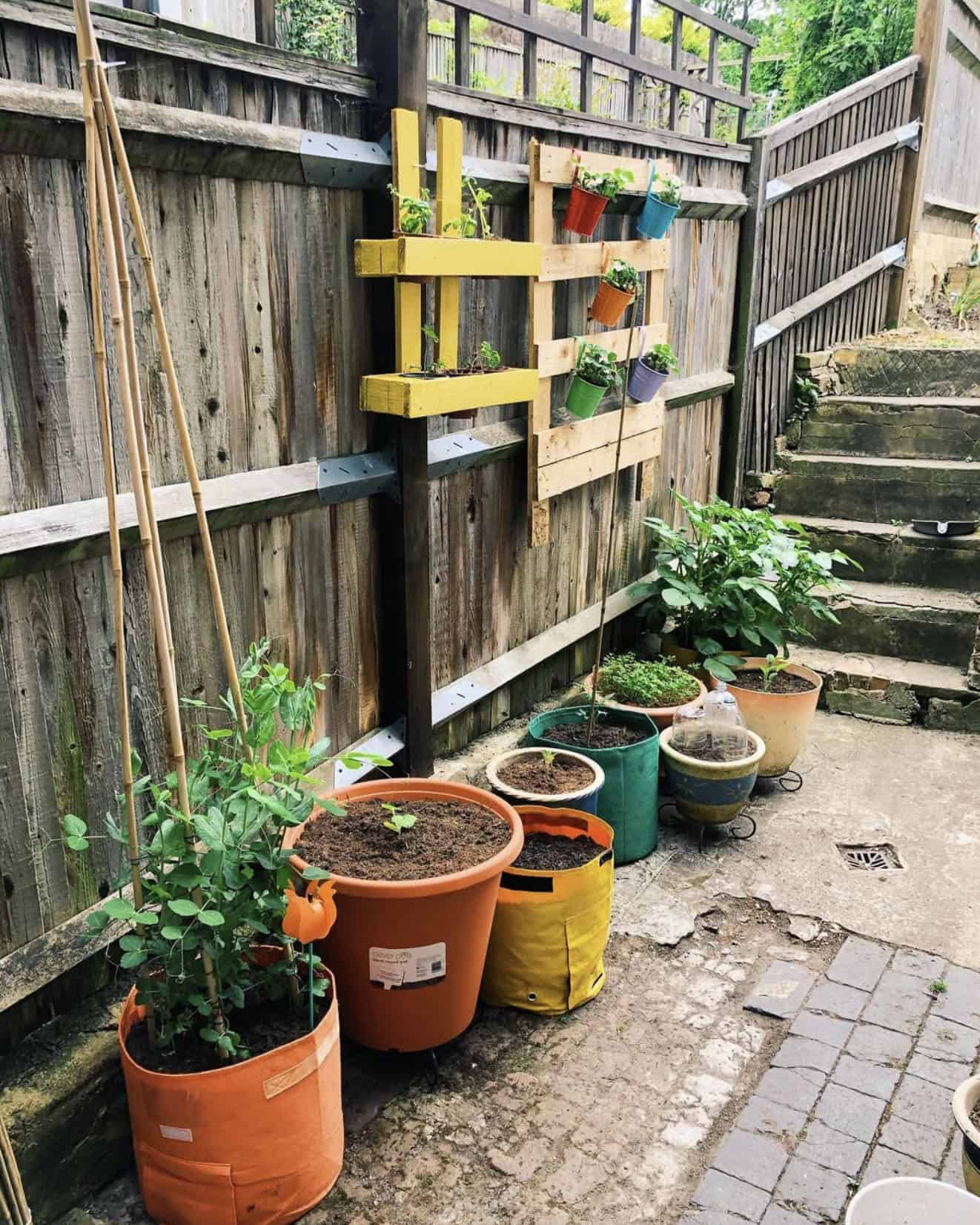 small courtyard kitchen garden with colorful grow bags and wall planters