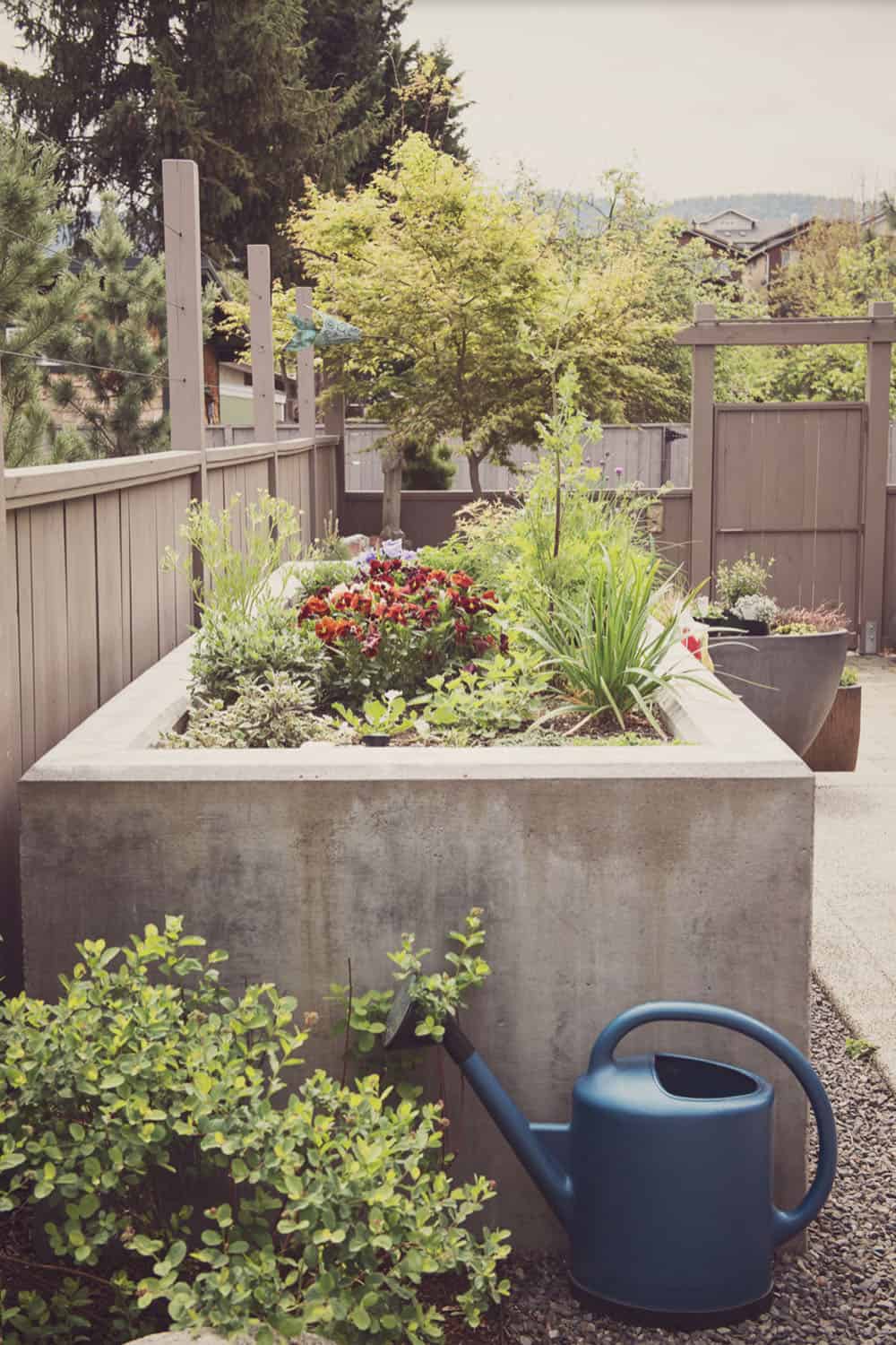 raised concrete planter with vegetables
