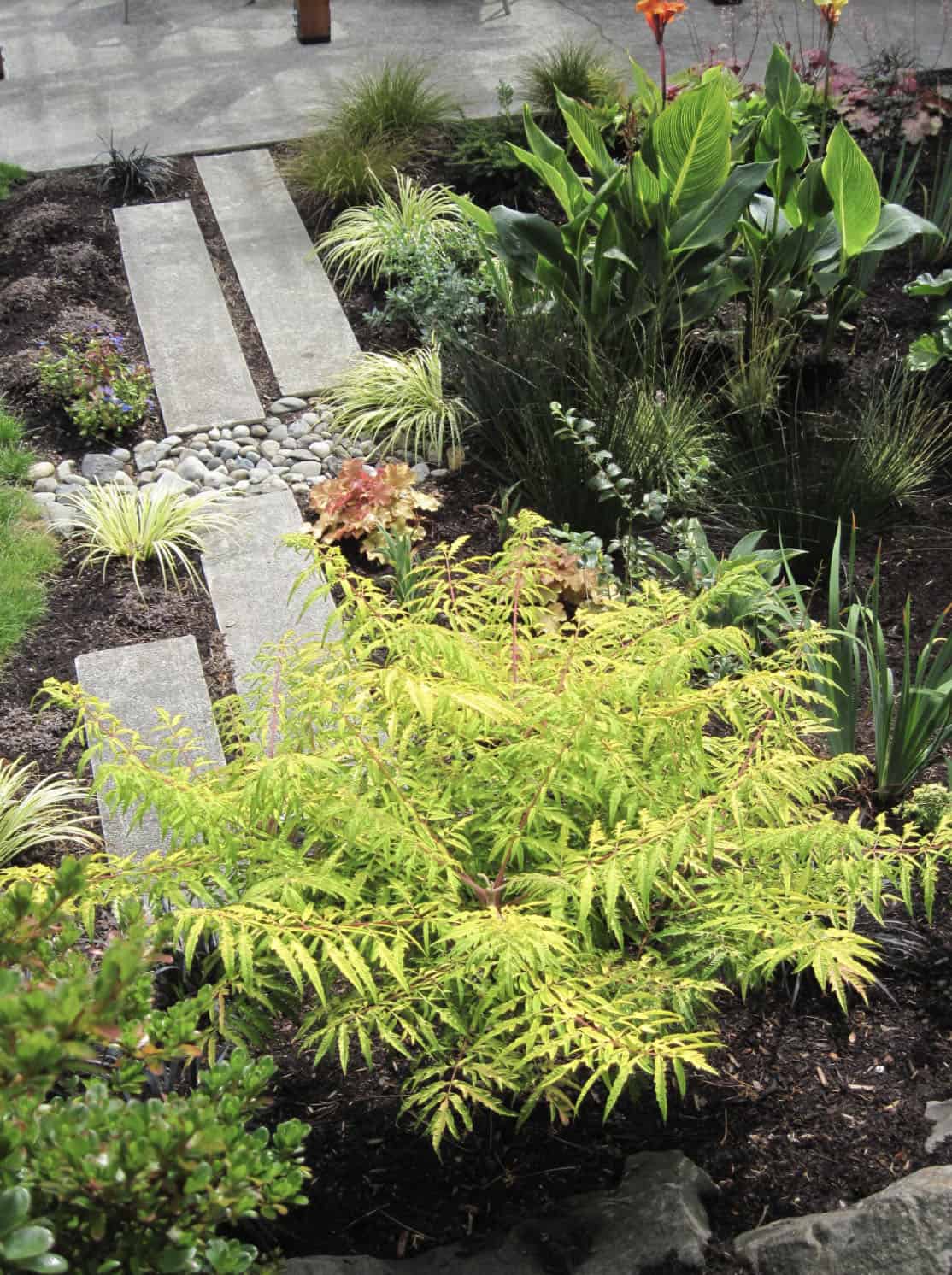 rain garden flower bed