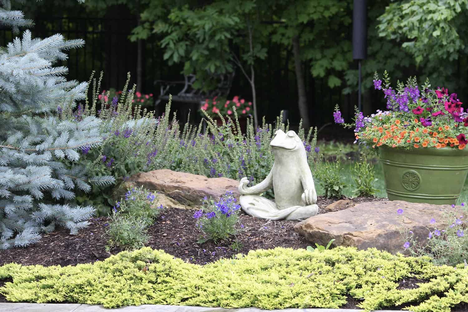 flower bed with a meditative frog statue