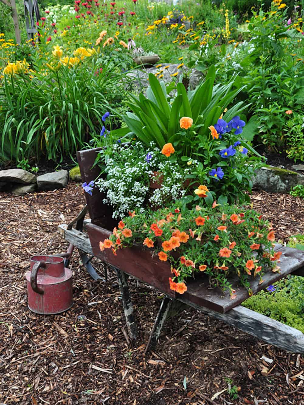 flower bed in a wheelbarrow