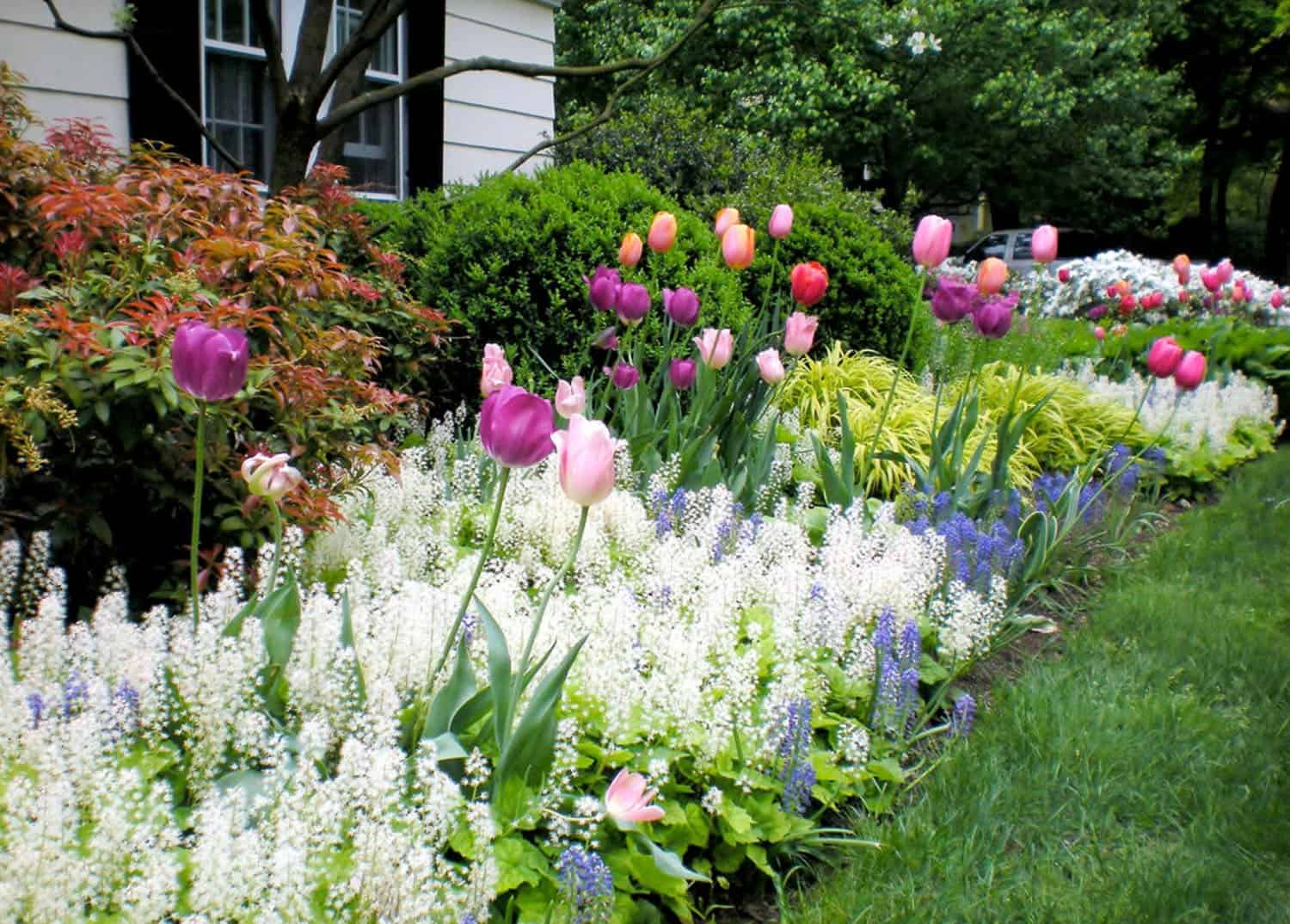 spring flower bed