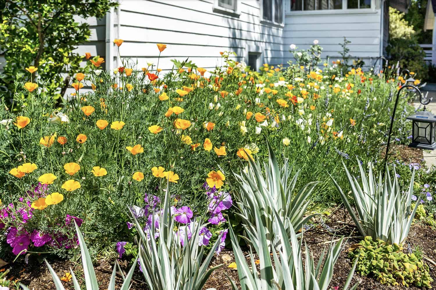 cottage casual garden bed