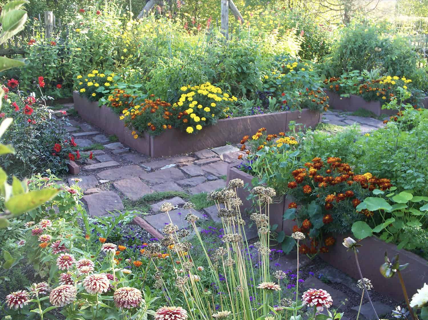 potager garden with flowers and vegetables