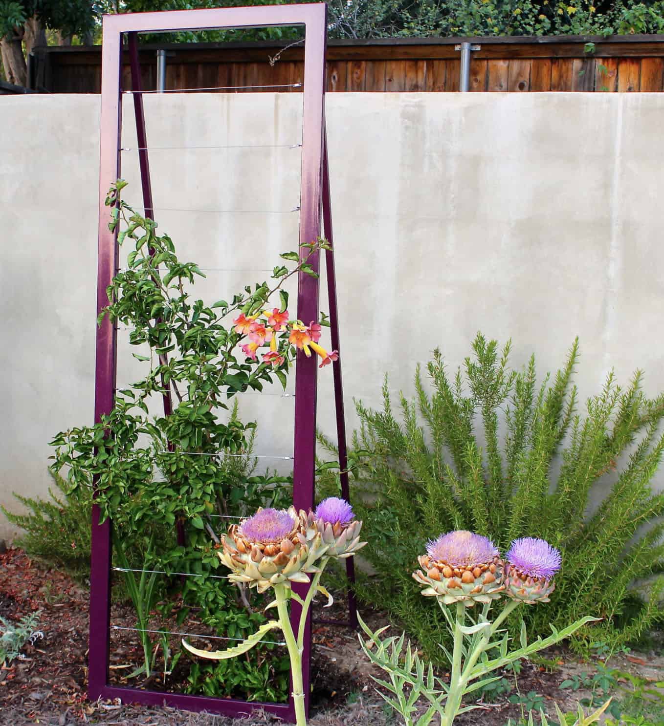 garden trellis