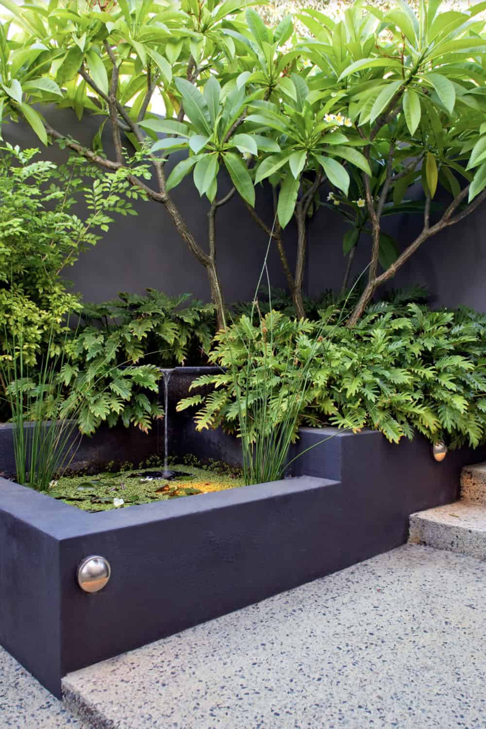 tropical corner garden