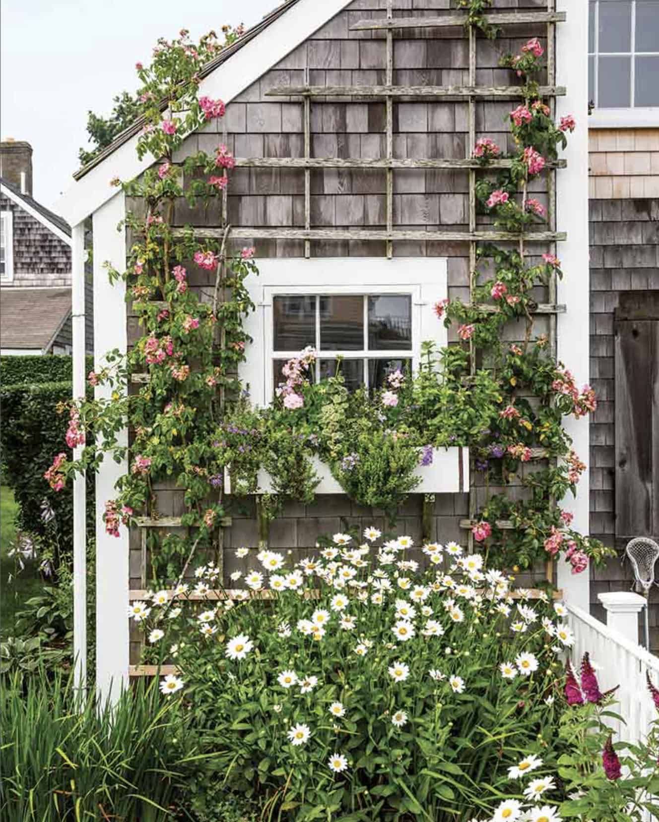vertical garden with a trellis and window box
