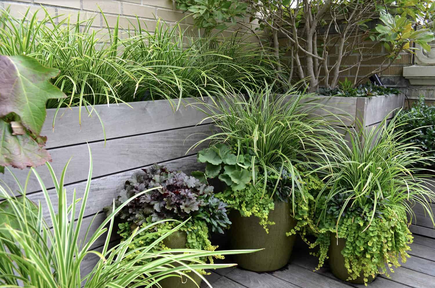 raised bed corner garden with container plants