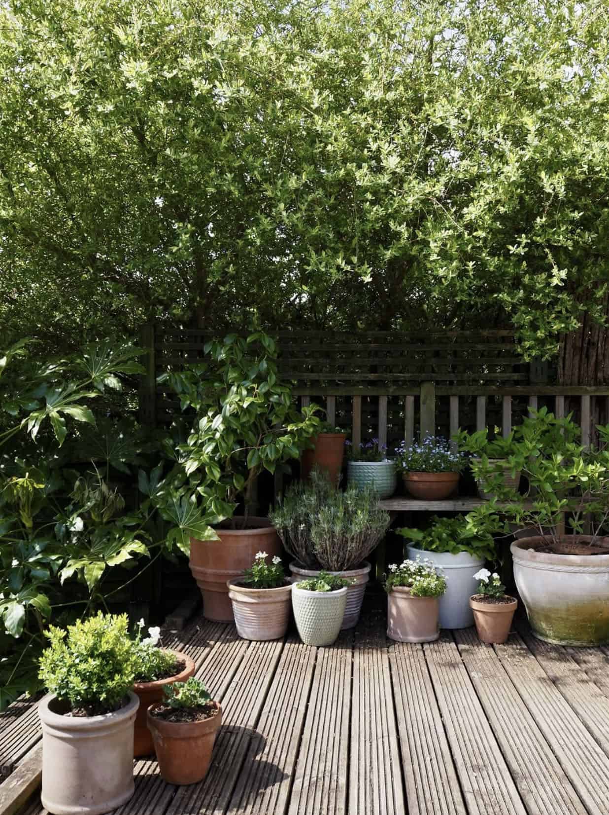 corner garden with pots