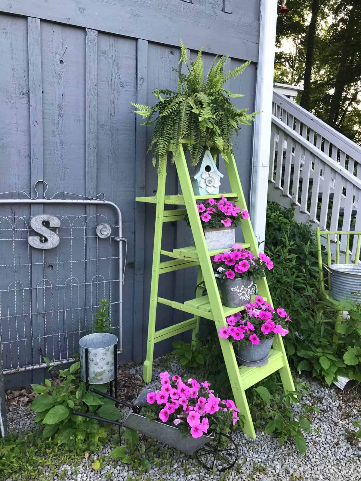 vertical garden with an upcycled ladder