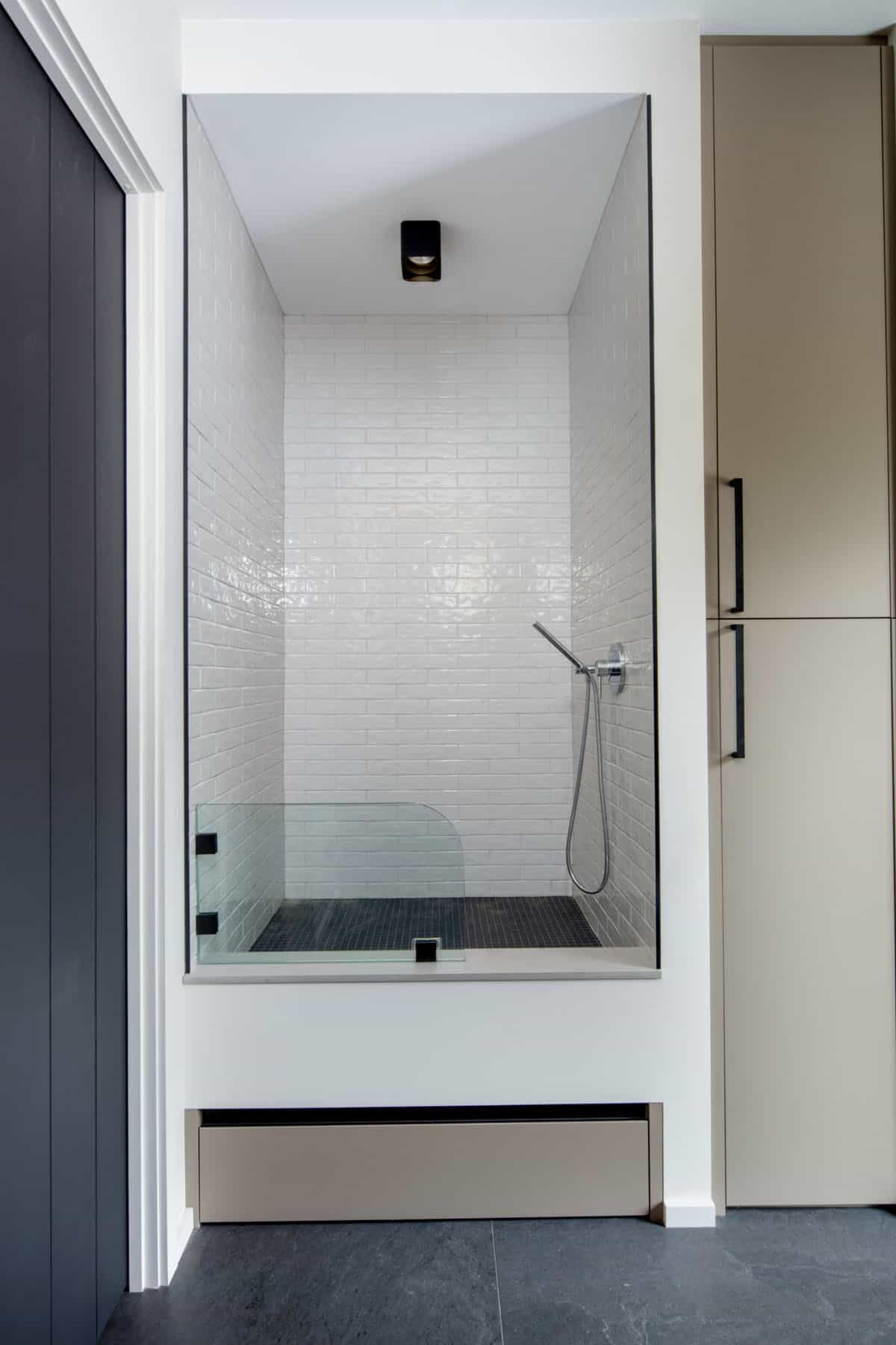 modern mudroom with a dog shower