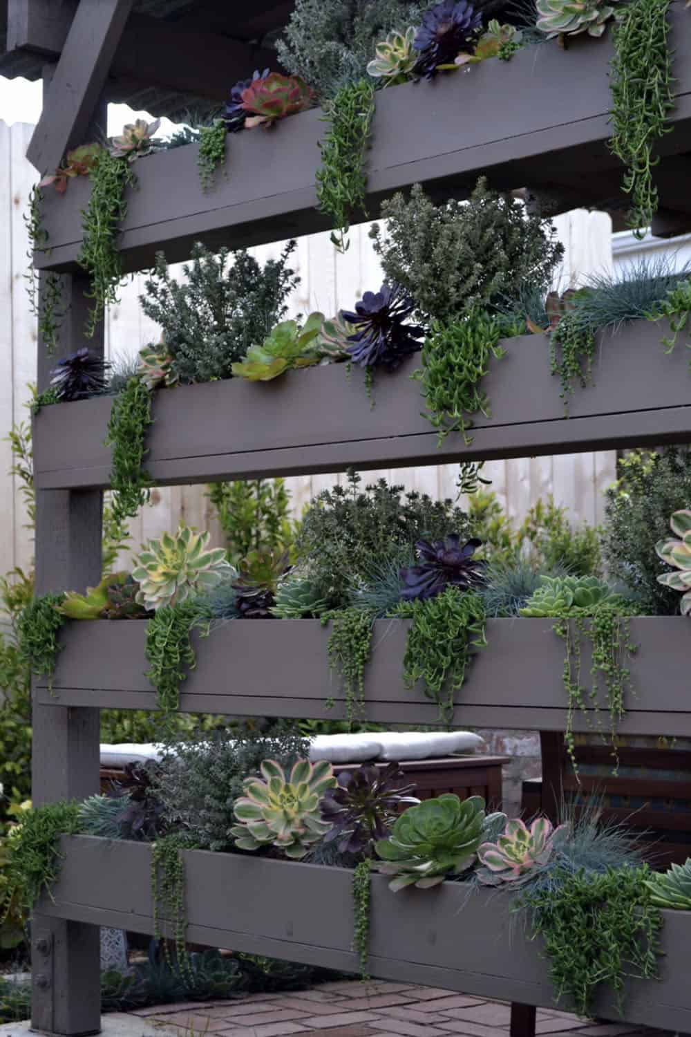 succulent wall