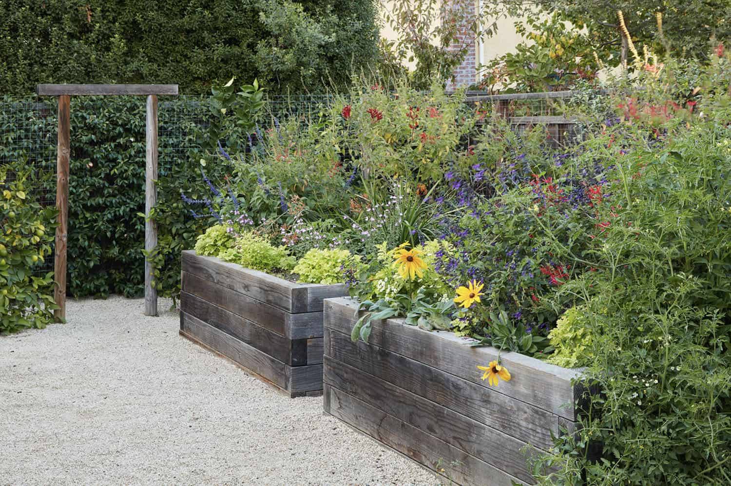 raised pollinator garden beds
