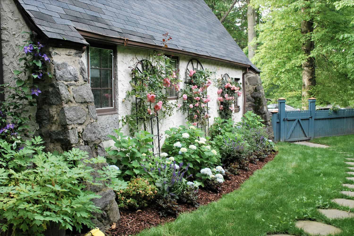 cottage style garden in the backyard