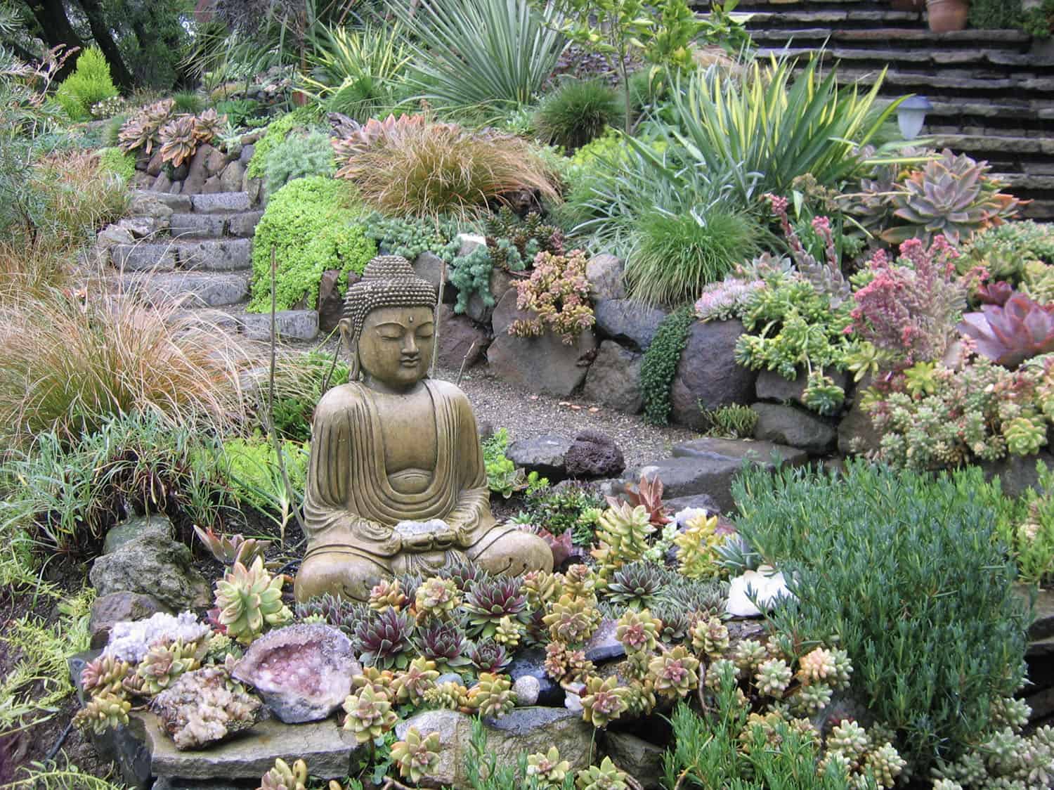 succulent garden