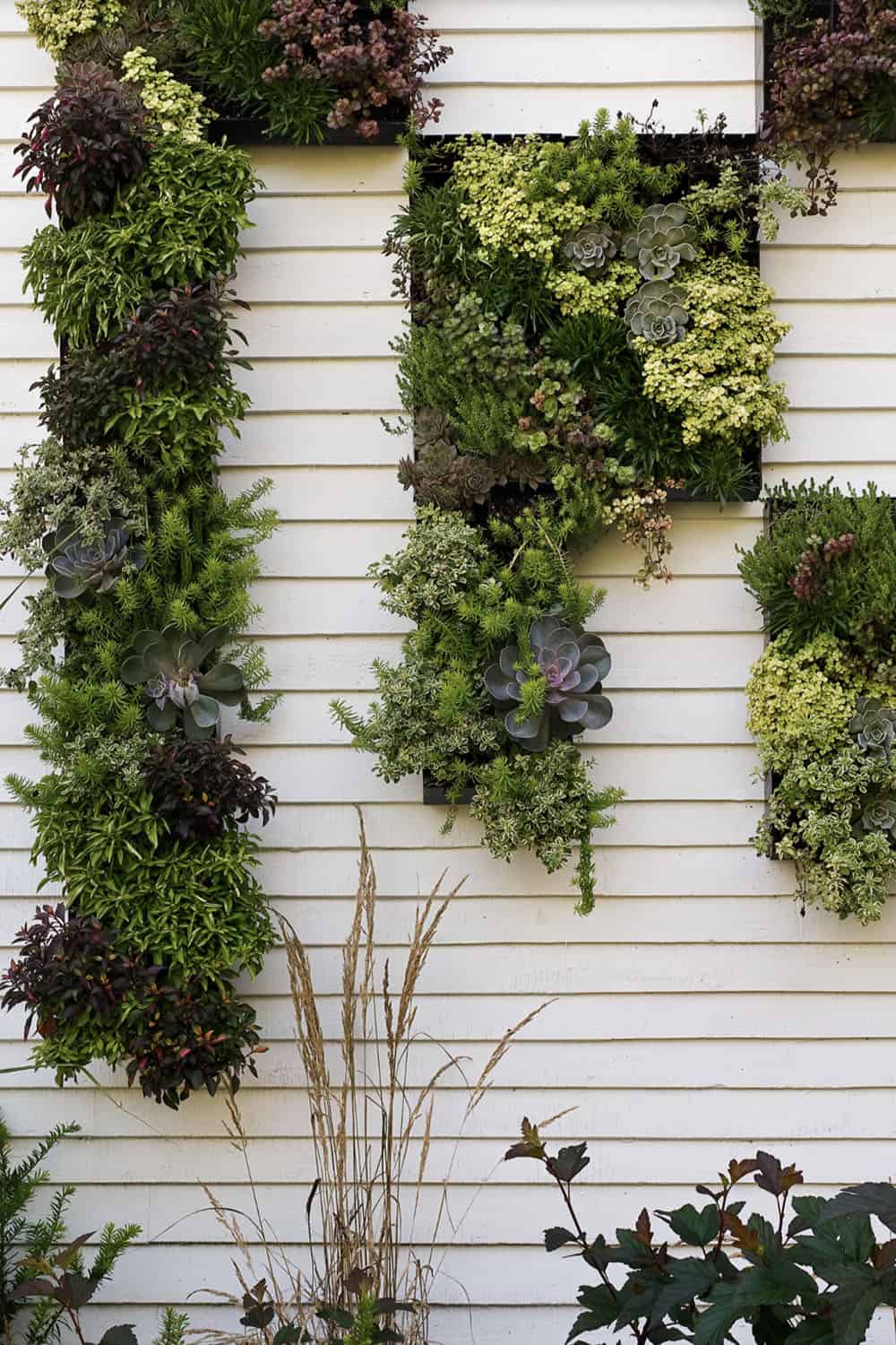 vertical living wall panels