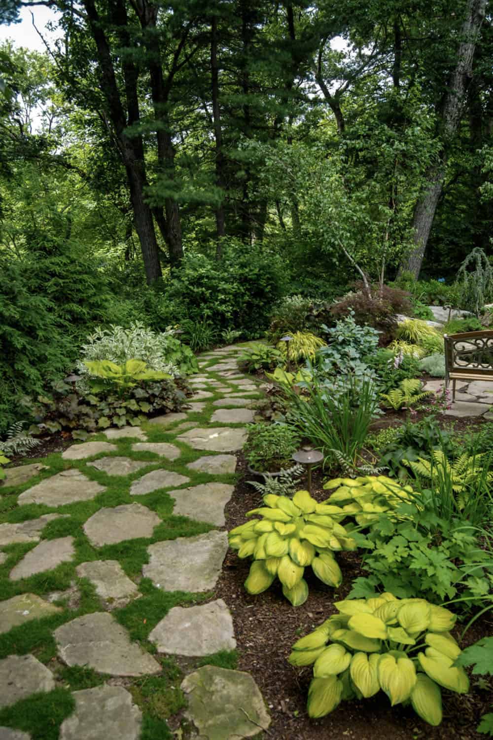 woodland retreat with a bluestone stepper path