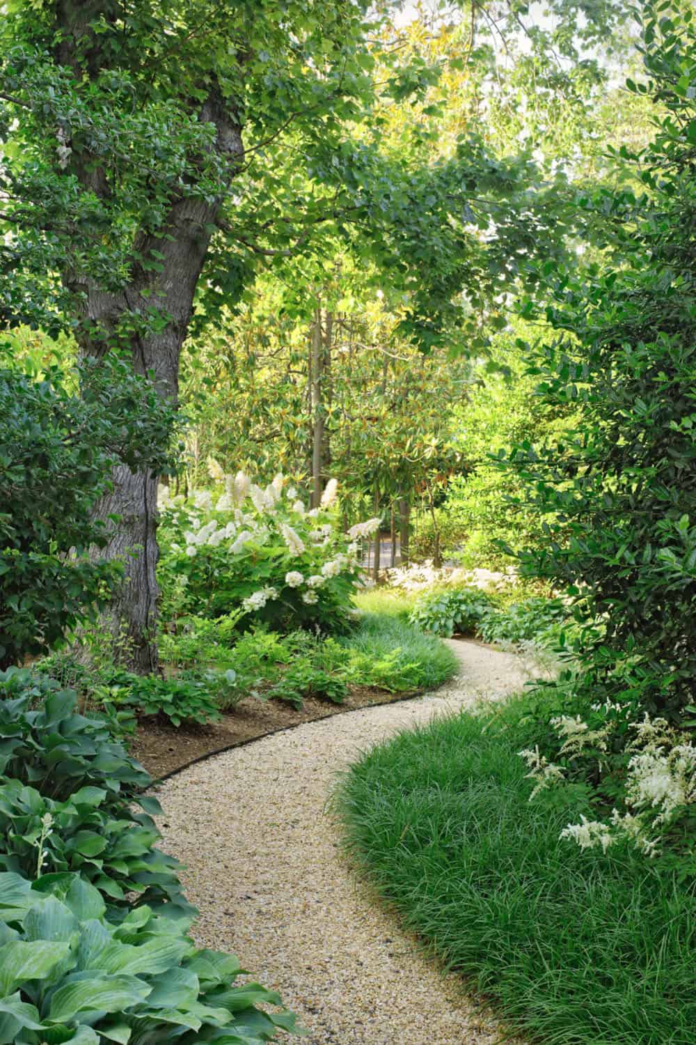 woodland garden with pea gravel