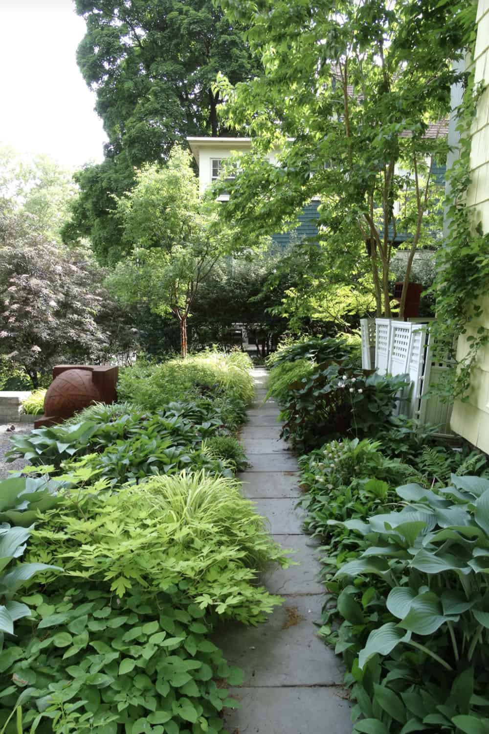 shade garden with a narrow stone pathway
