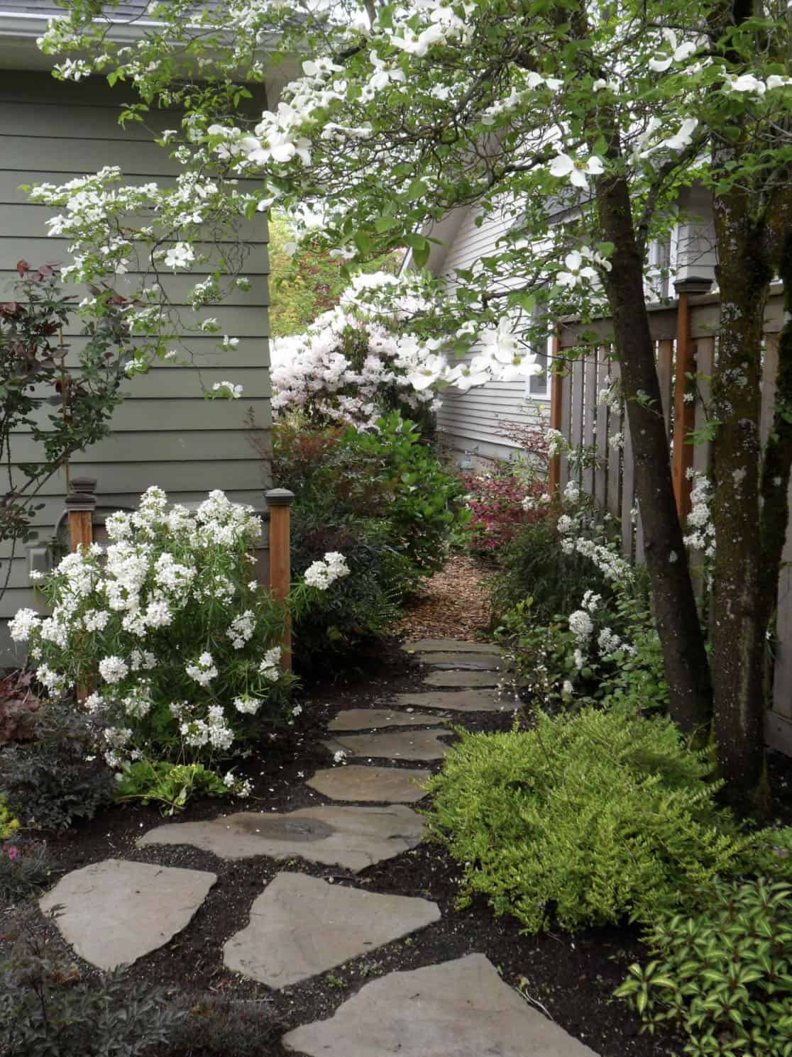 stepping stone side yard