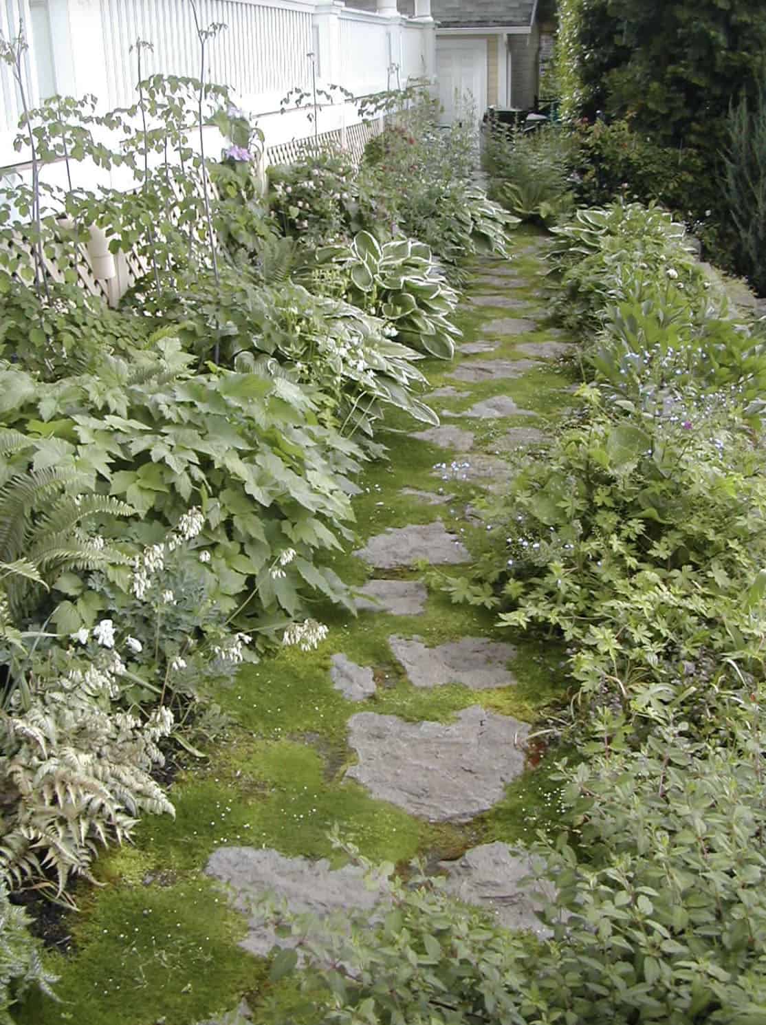 rustic step stones with moss ground cover 