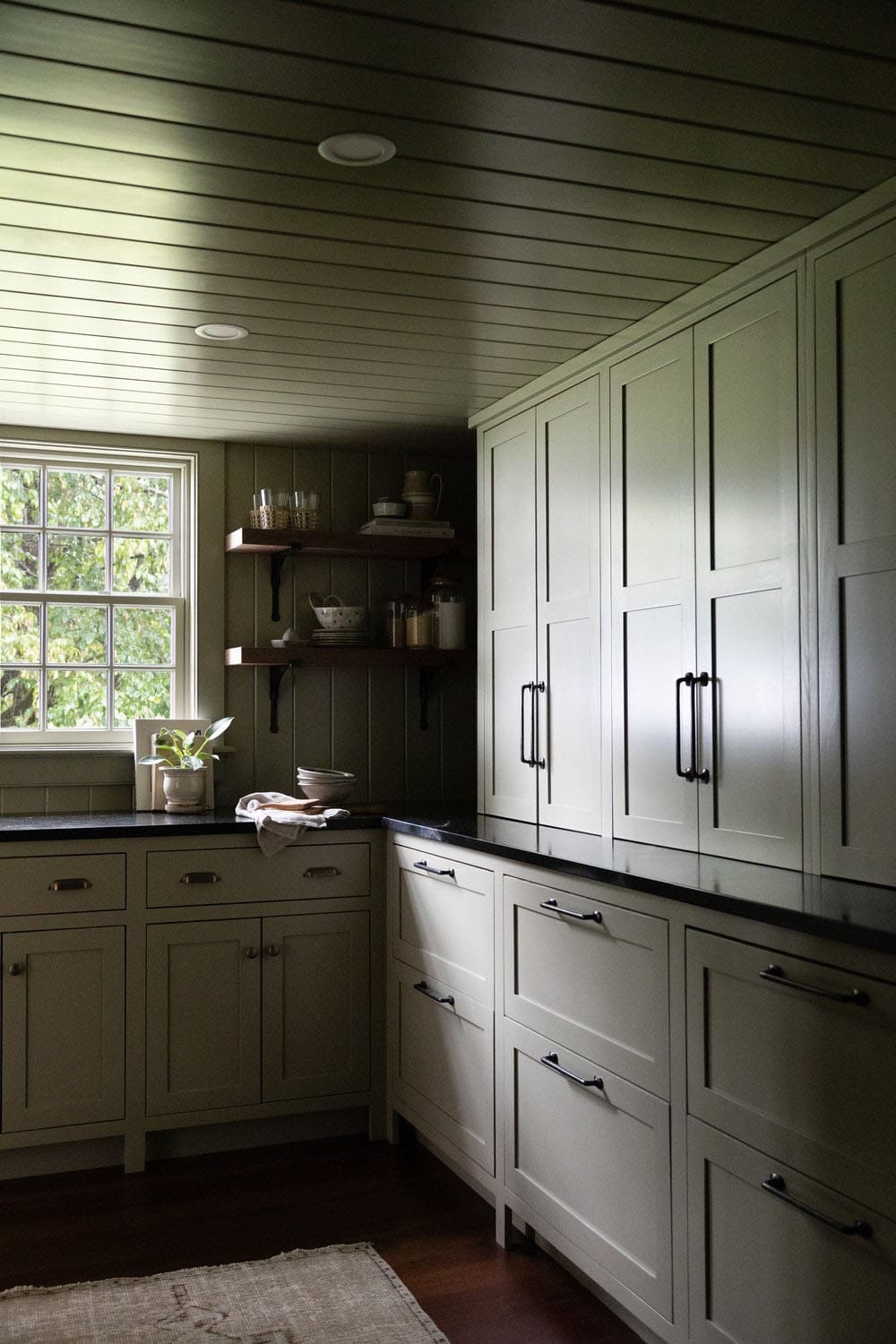 contemporary kitchen pantry