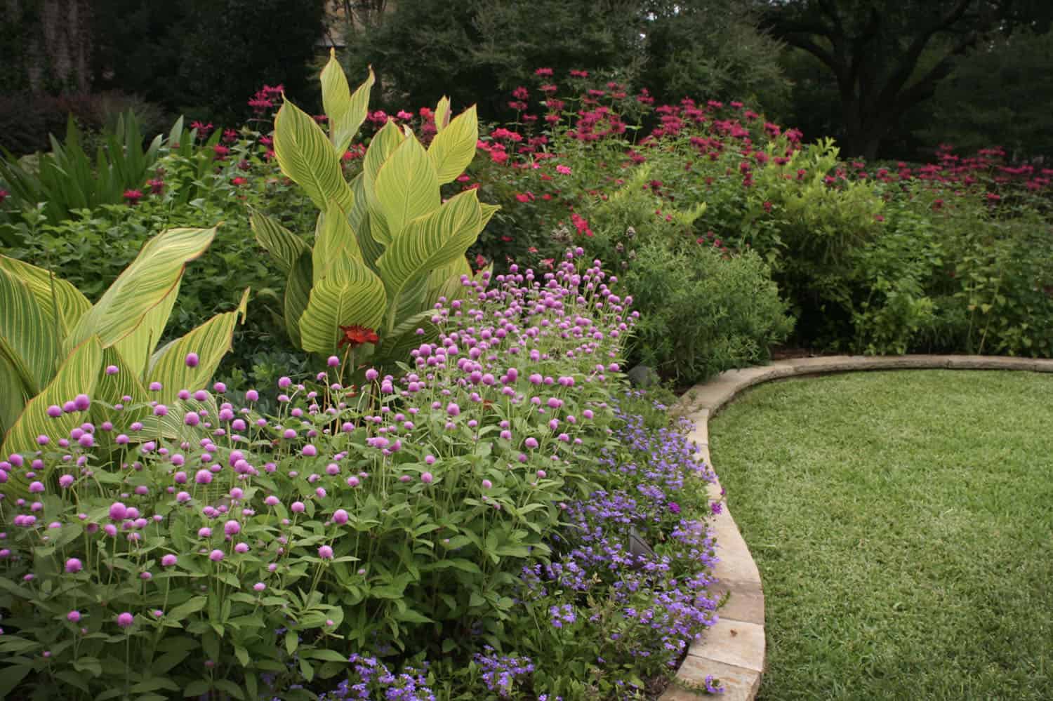 English garden flower bed