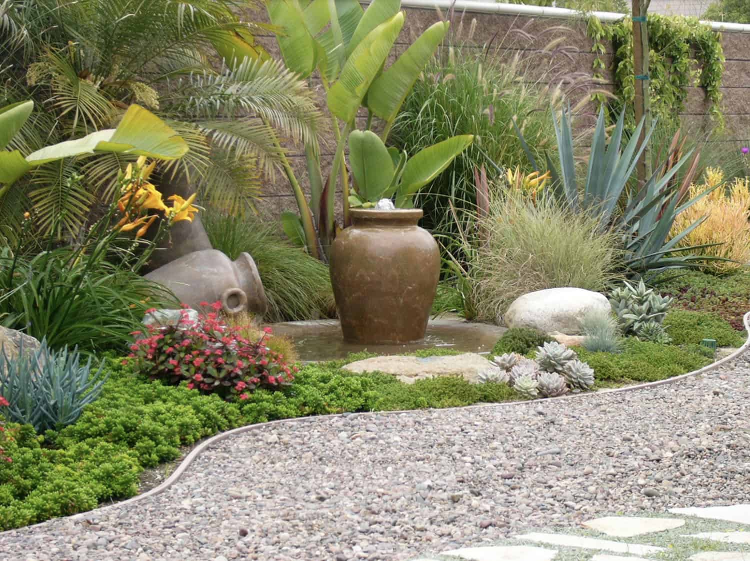 succulent garden with a water feature