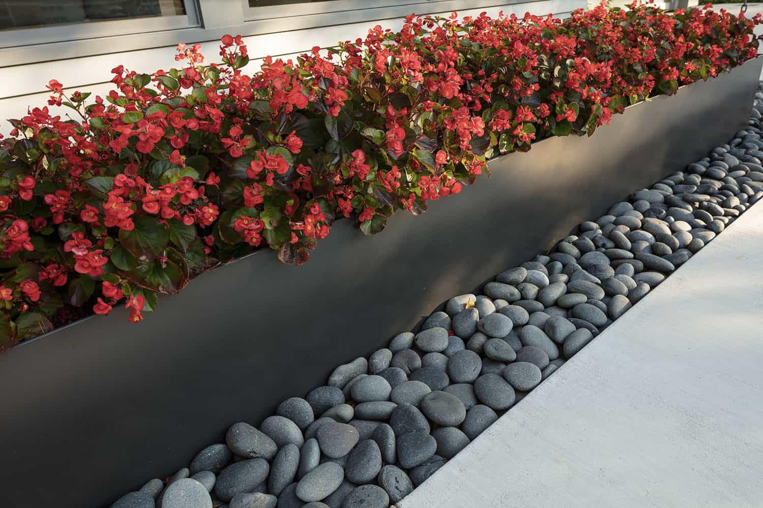 vibrant front yard planter box detail