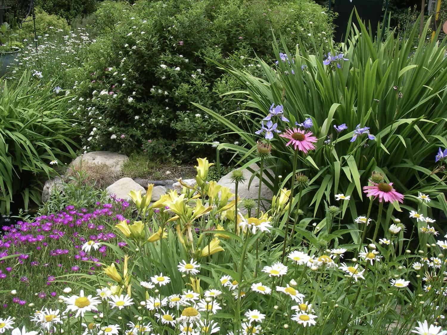 front yard perennial garden with curb appeal