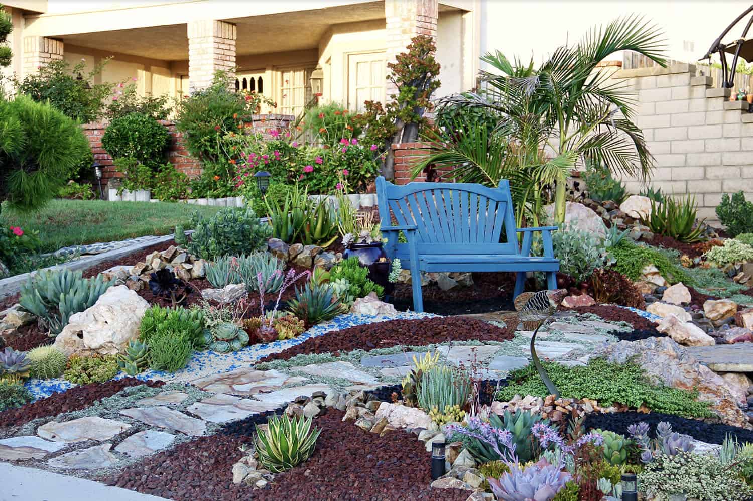 front yard with drought tolerant succulent garden