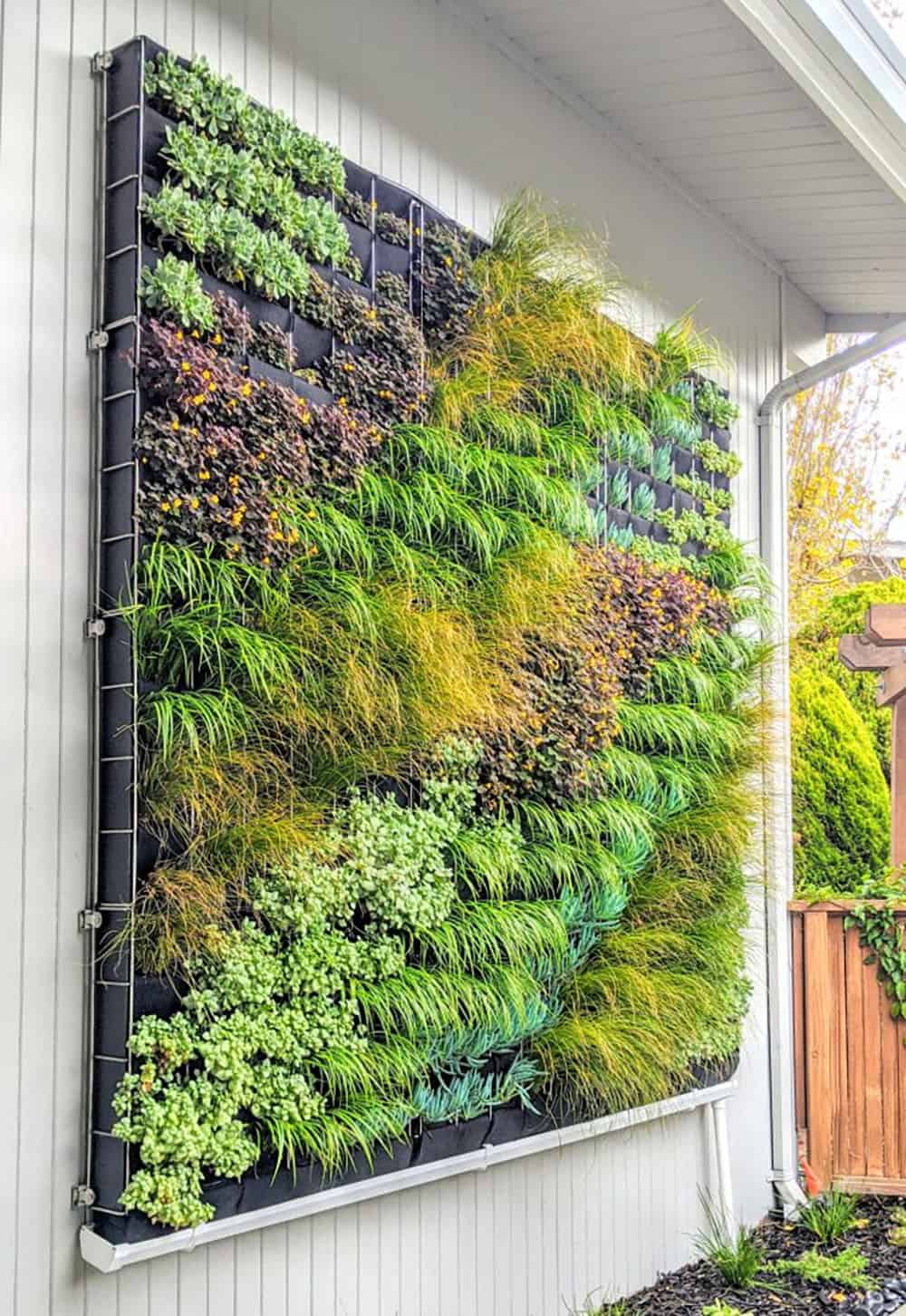vertical living garden wall