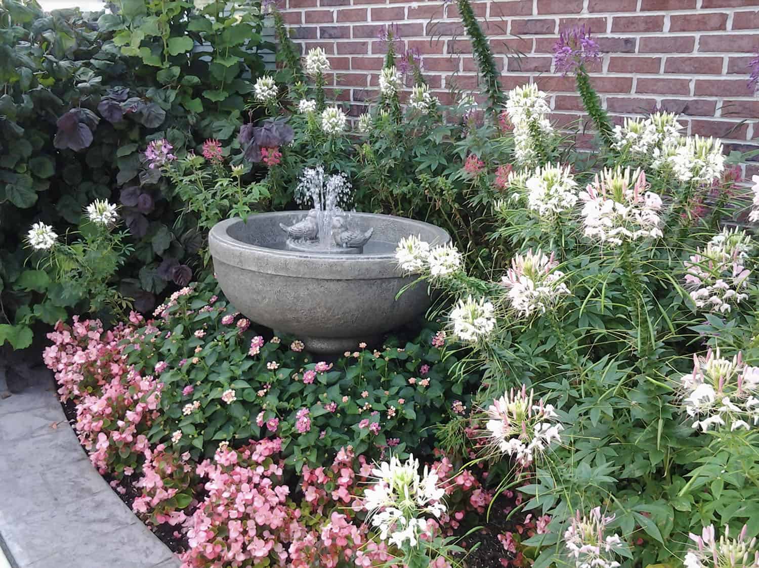 small front yard garden bed with a bird bath