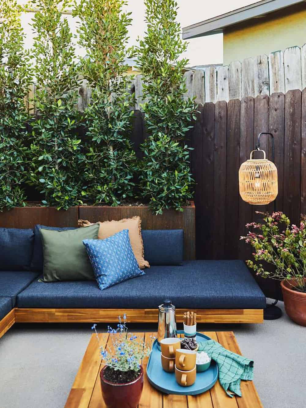 vertical hedge privacy wall on a small patio