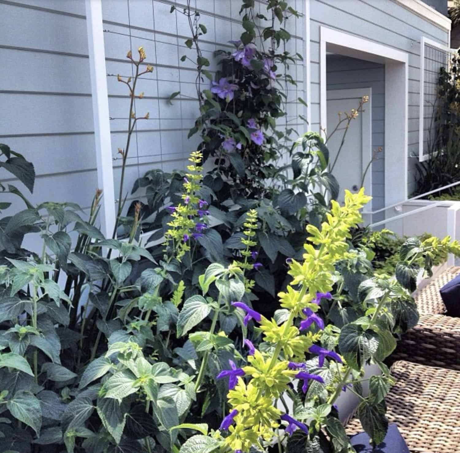 Vertical Gardens with Wall Trellis