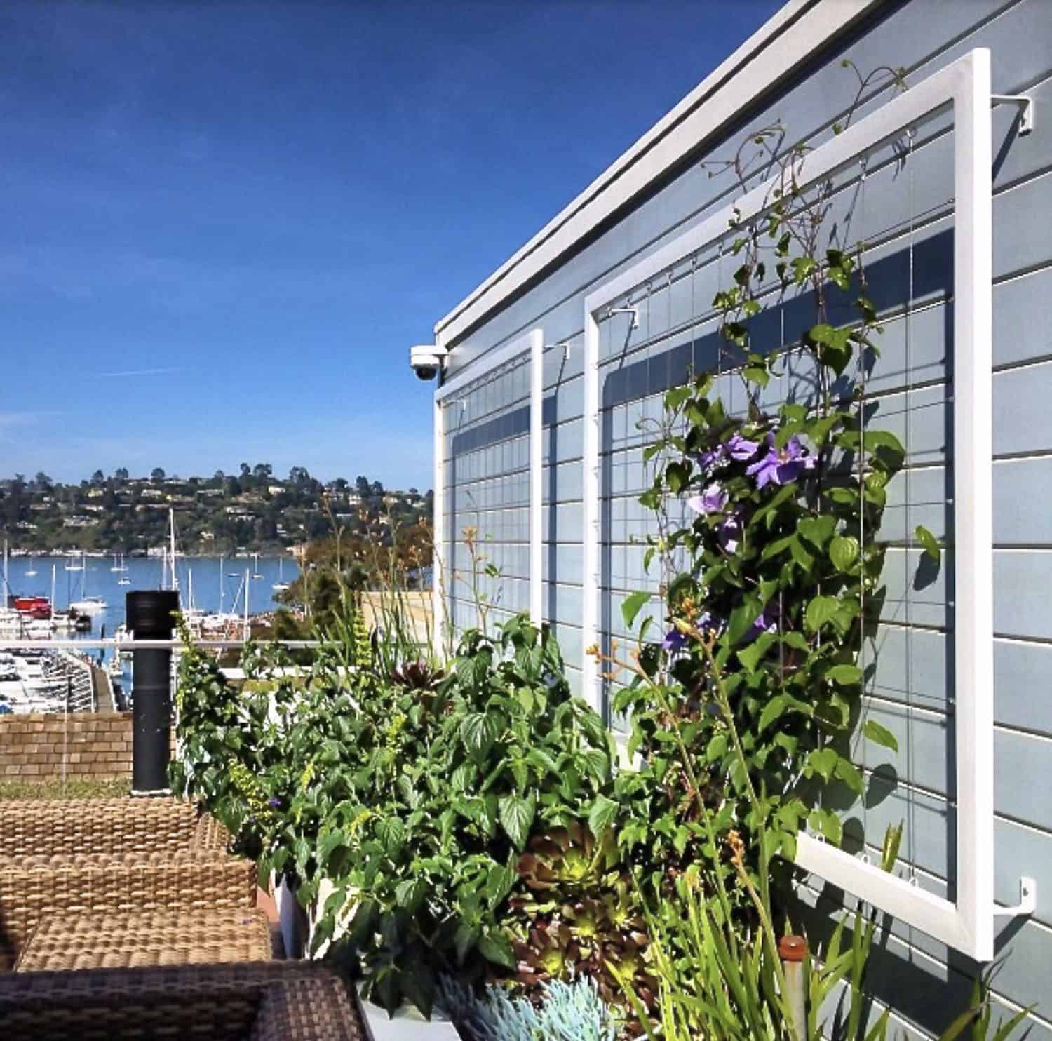 Vertical Gardens with Wall Trellis