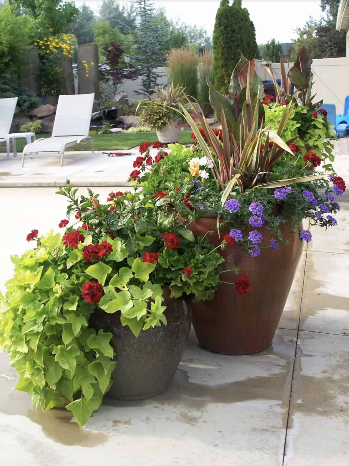 Summer Container Planting