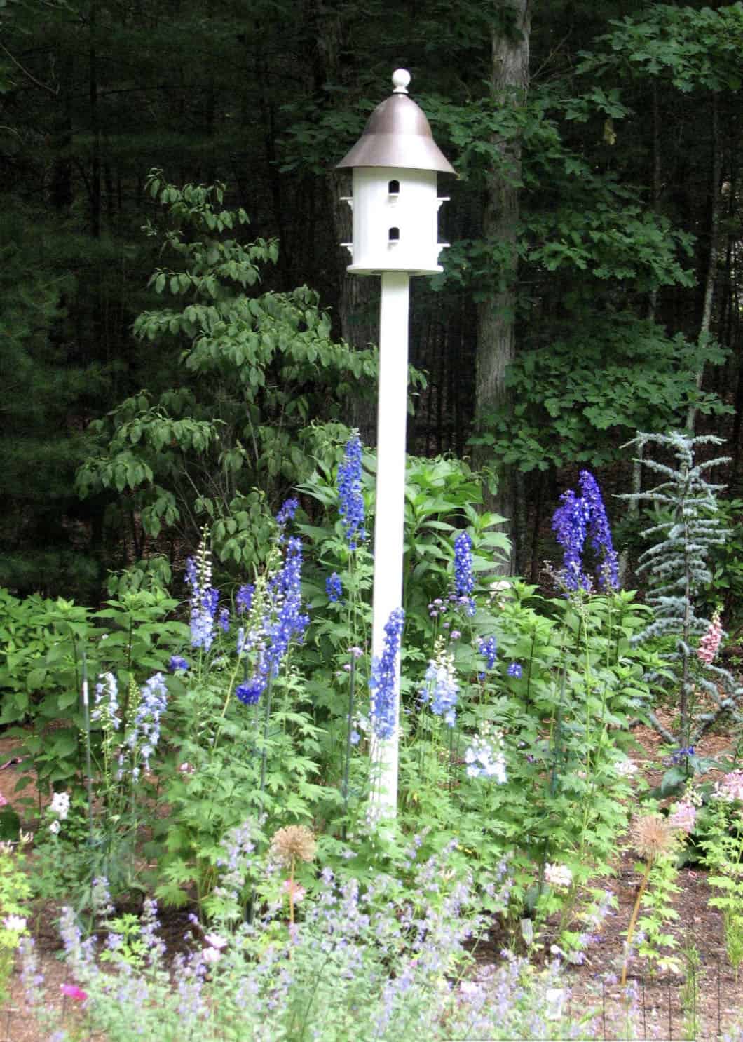 birdhouse with a flower bed around it