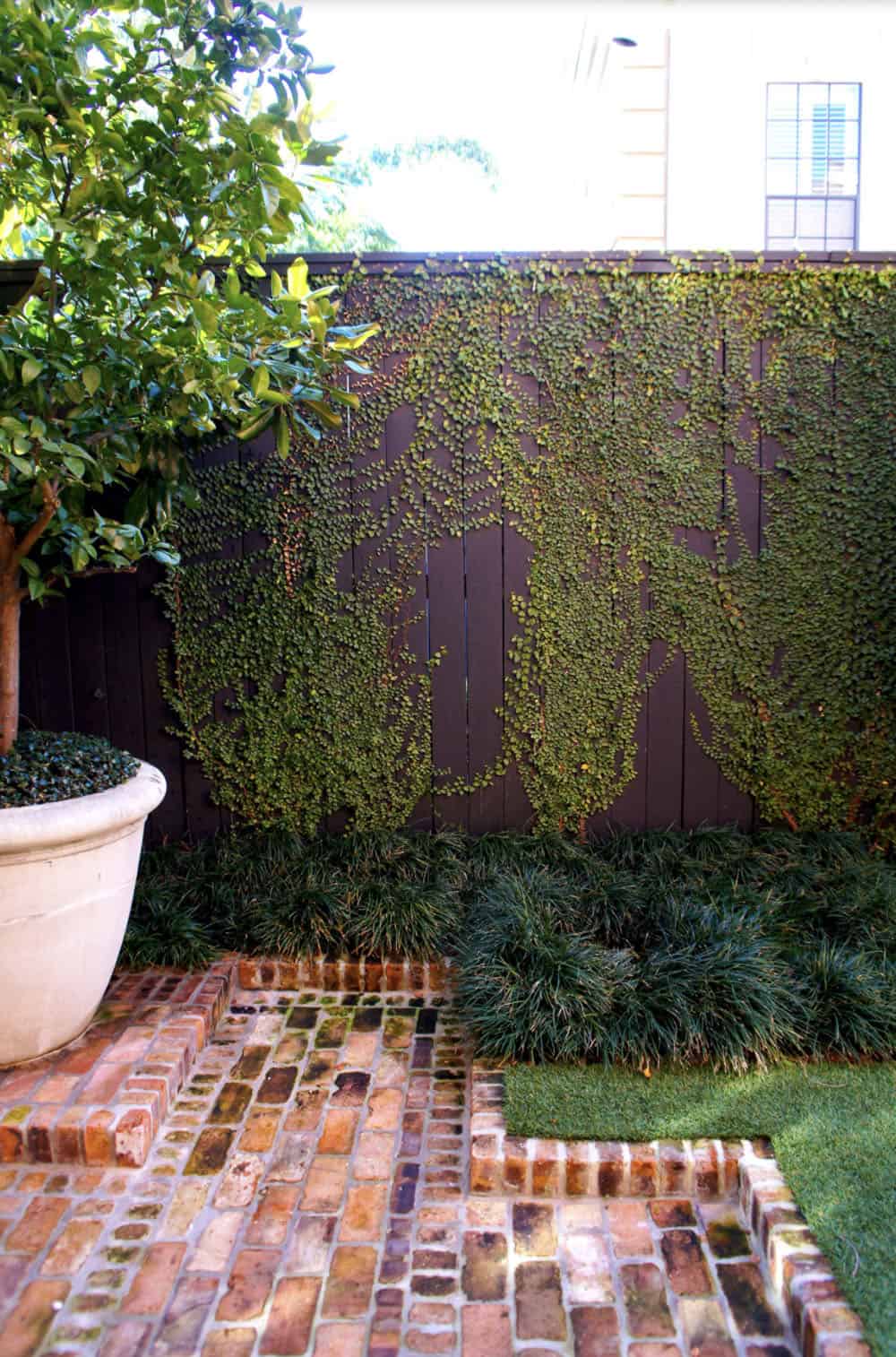 brick edging around a brick pathway and garden