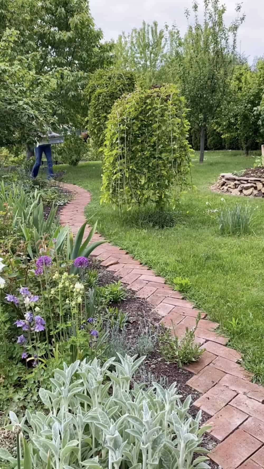 brick pathway garden edge