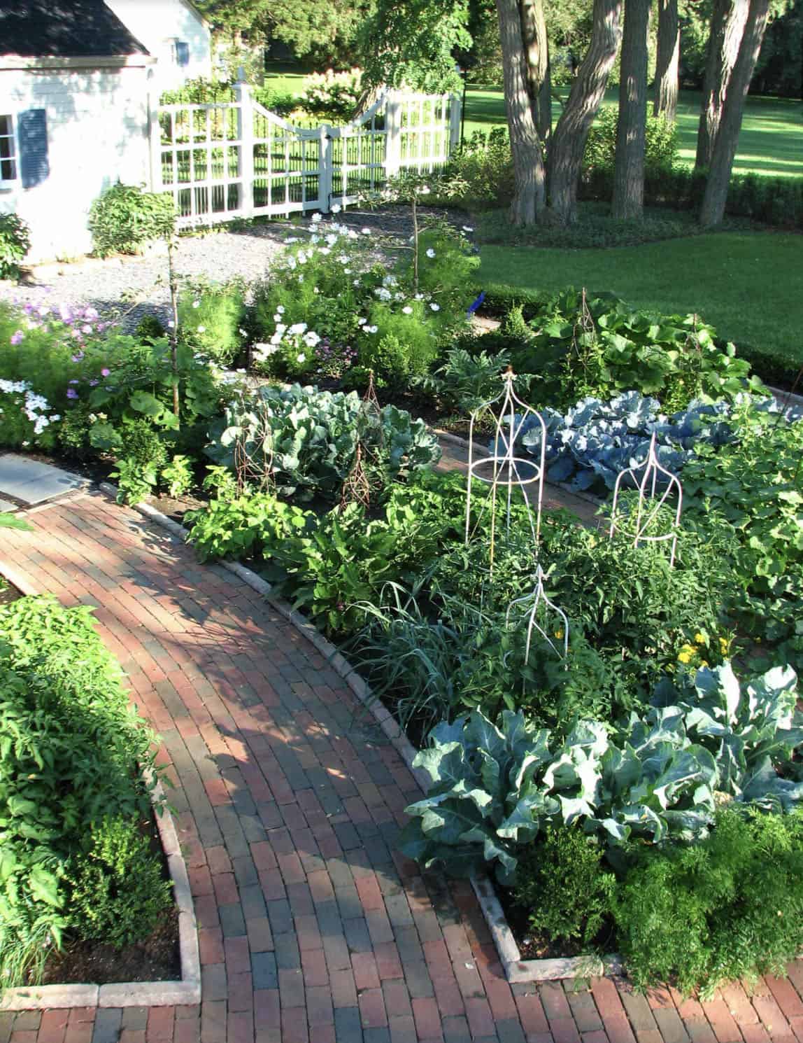 potager garden with brick edging the pathway
