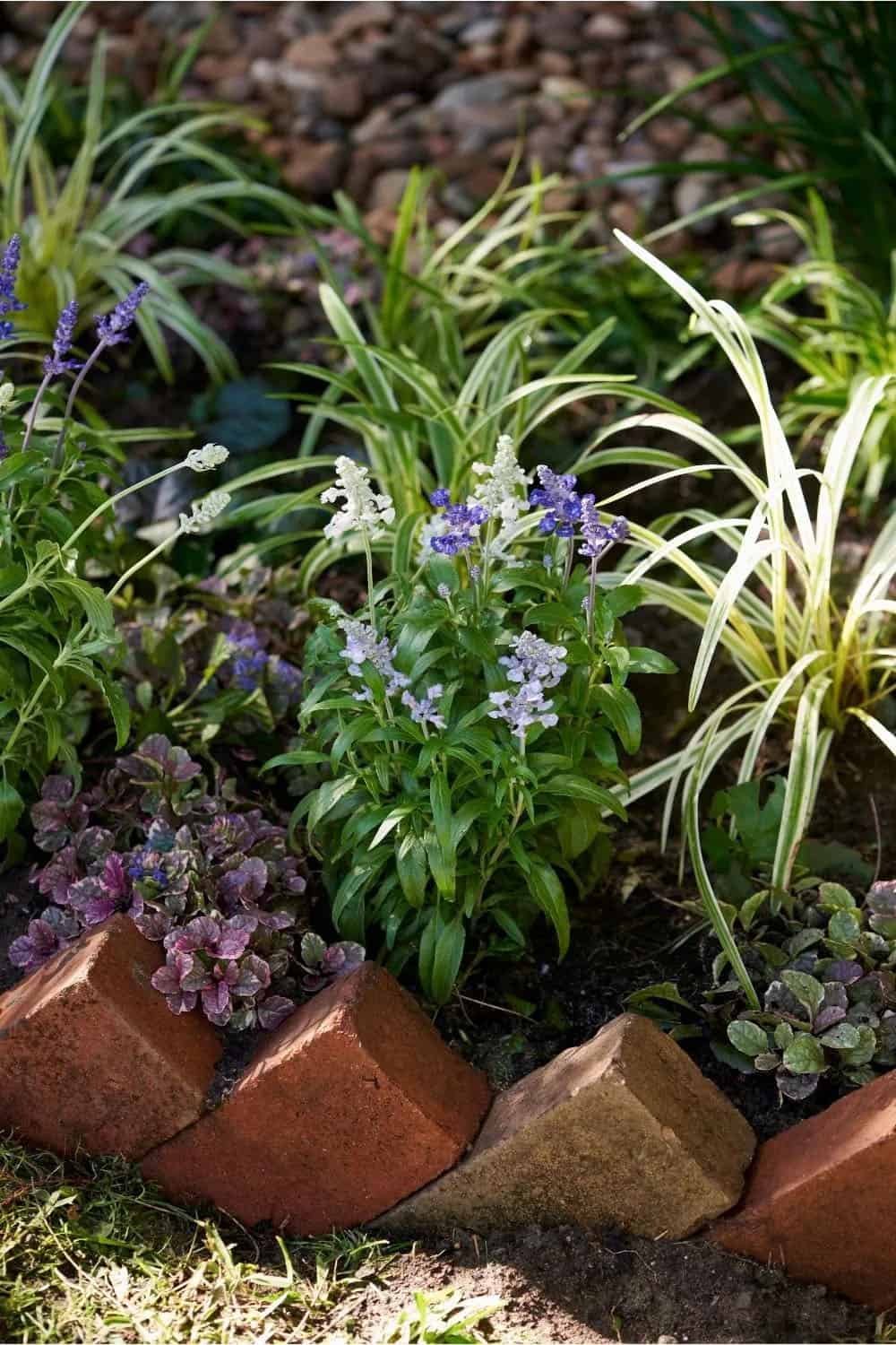 saw-tooth brick garden border