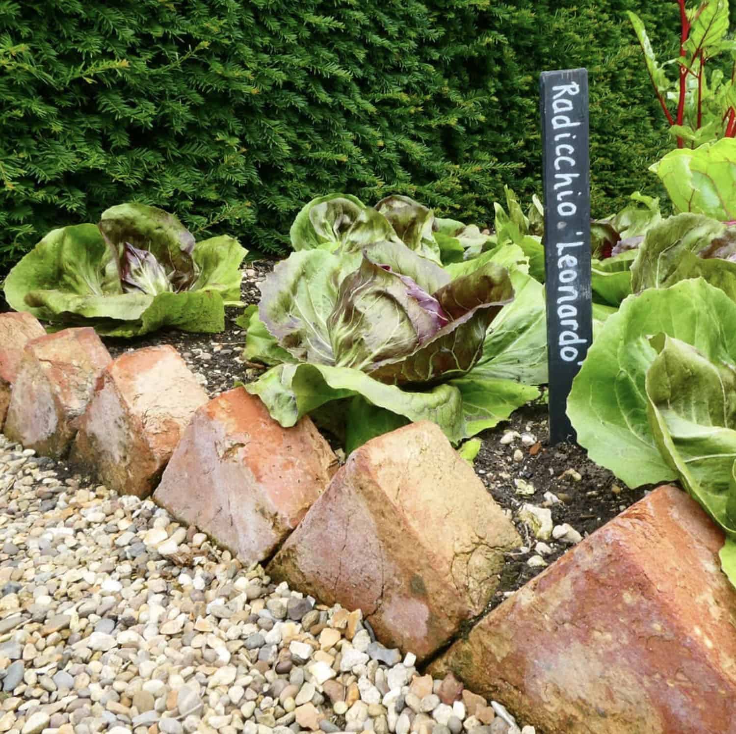 angled brick border