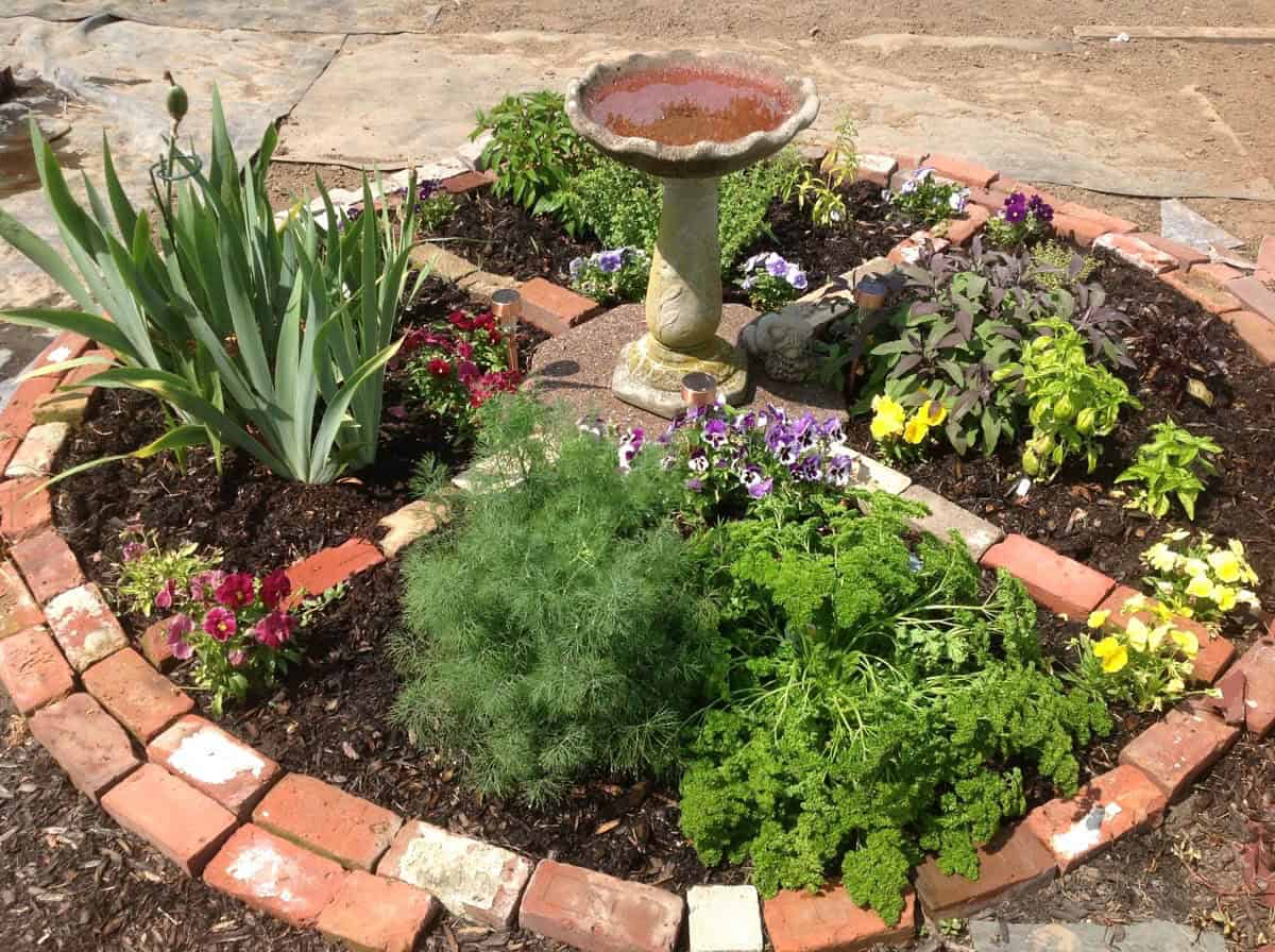 herb garden wheel with brick edging