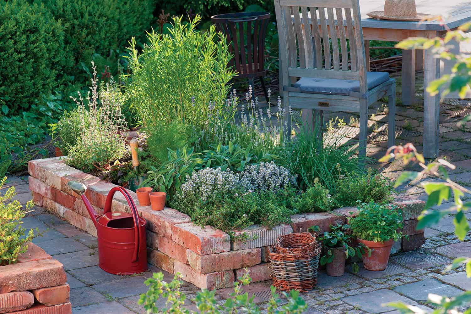 garden edging around an herb garden
