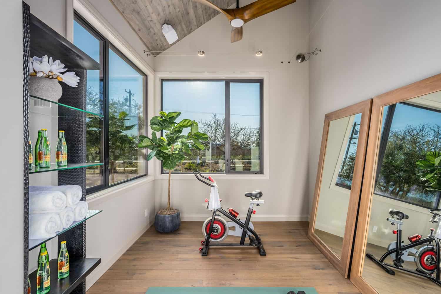 contemporary home gym