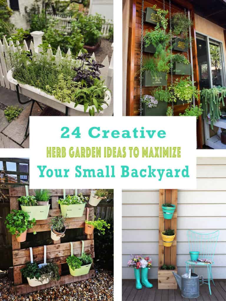 24 Creative Herb Garden Ideas to Maximize Your Small Backyard