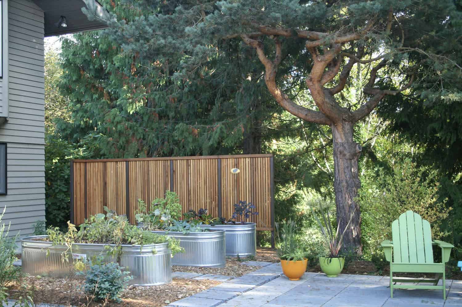 stock tank herb garden
