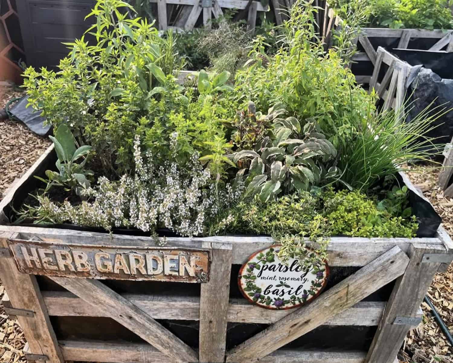 fenced-in herb garden with a sign